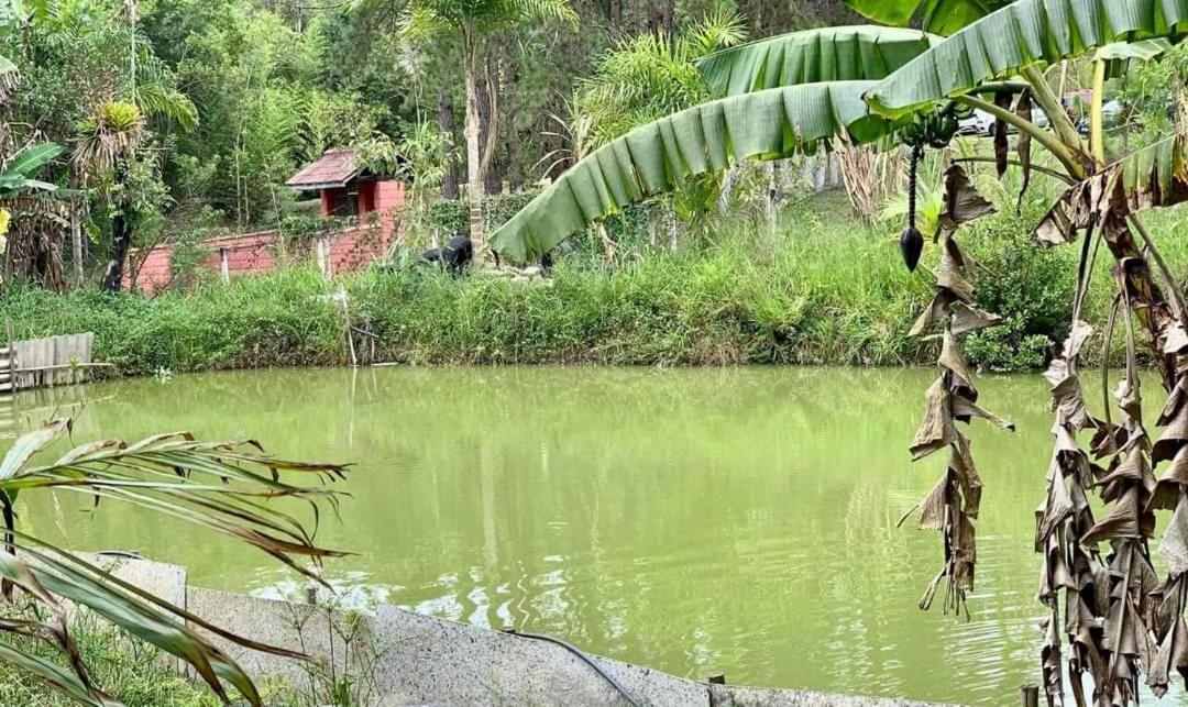 Chacara Recanto Dos Passaros Bairro das Rosas ภายนอก รูปภาพ